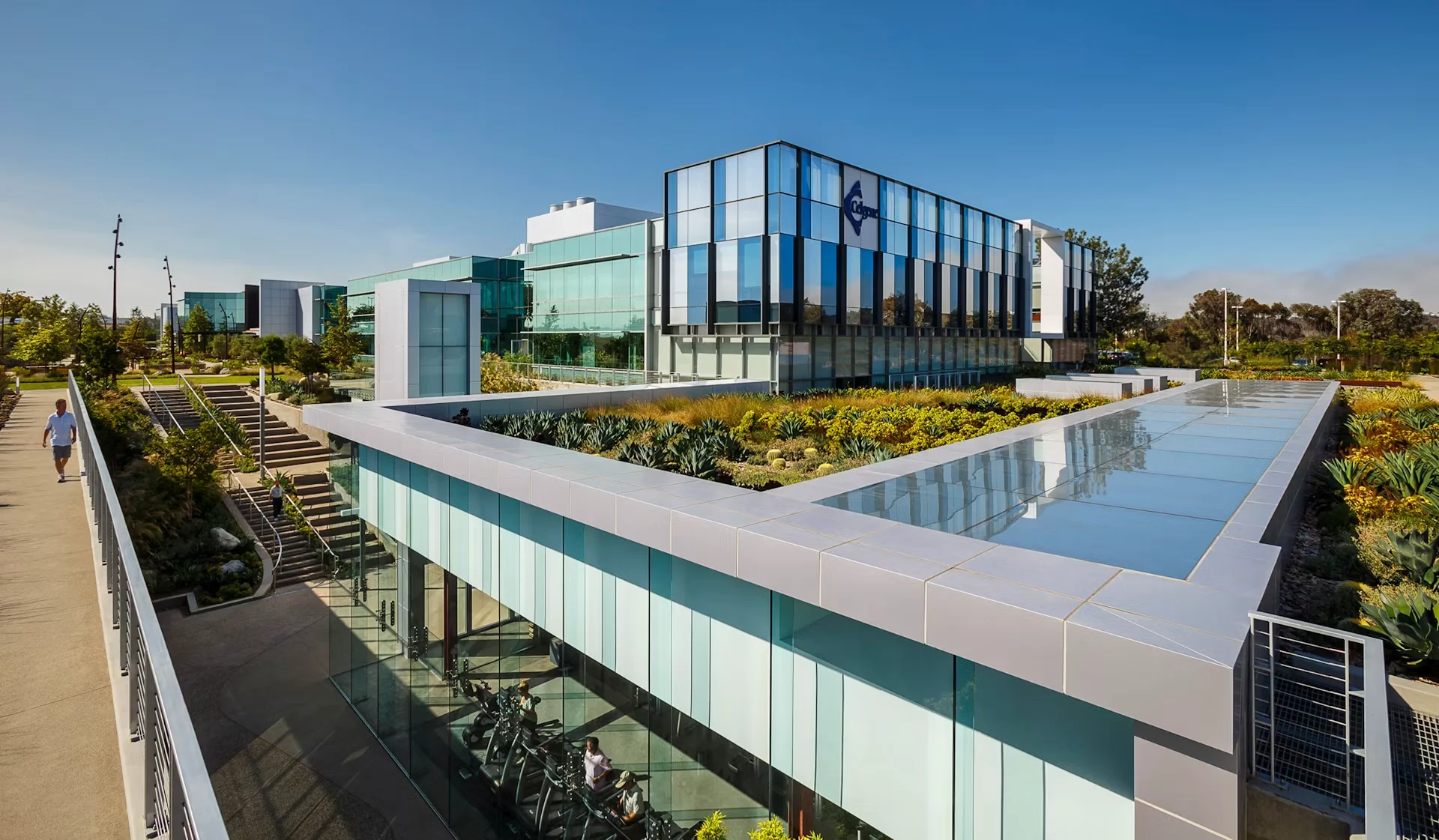 Education Facilities Commercial Roofing Washington DC for Commercial Roofers Washington DC